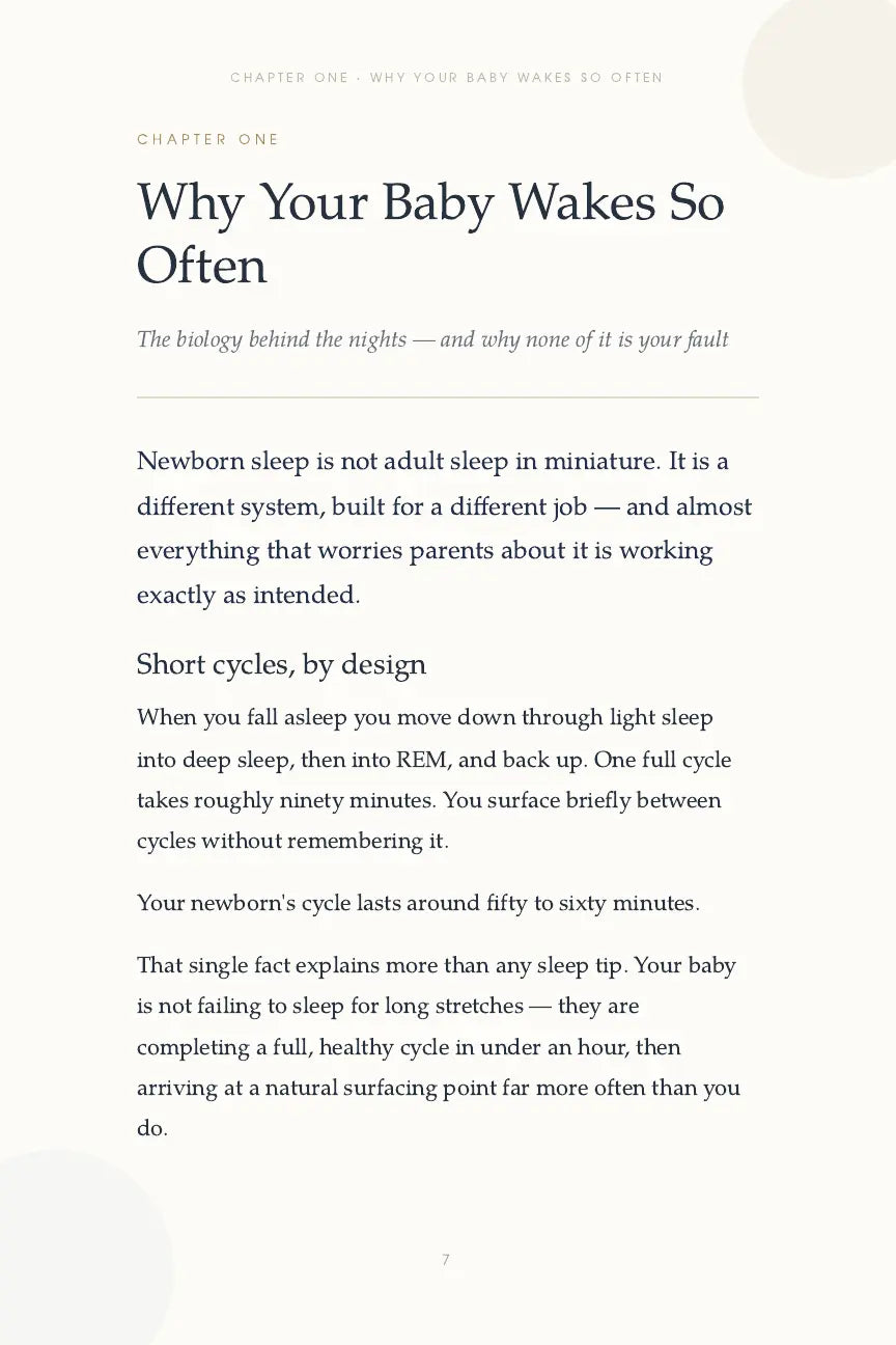 Newborn Sleep, Explained chapter one page 7 explaining why babies wake so often