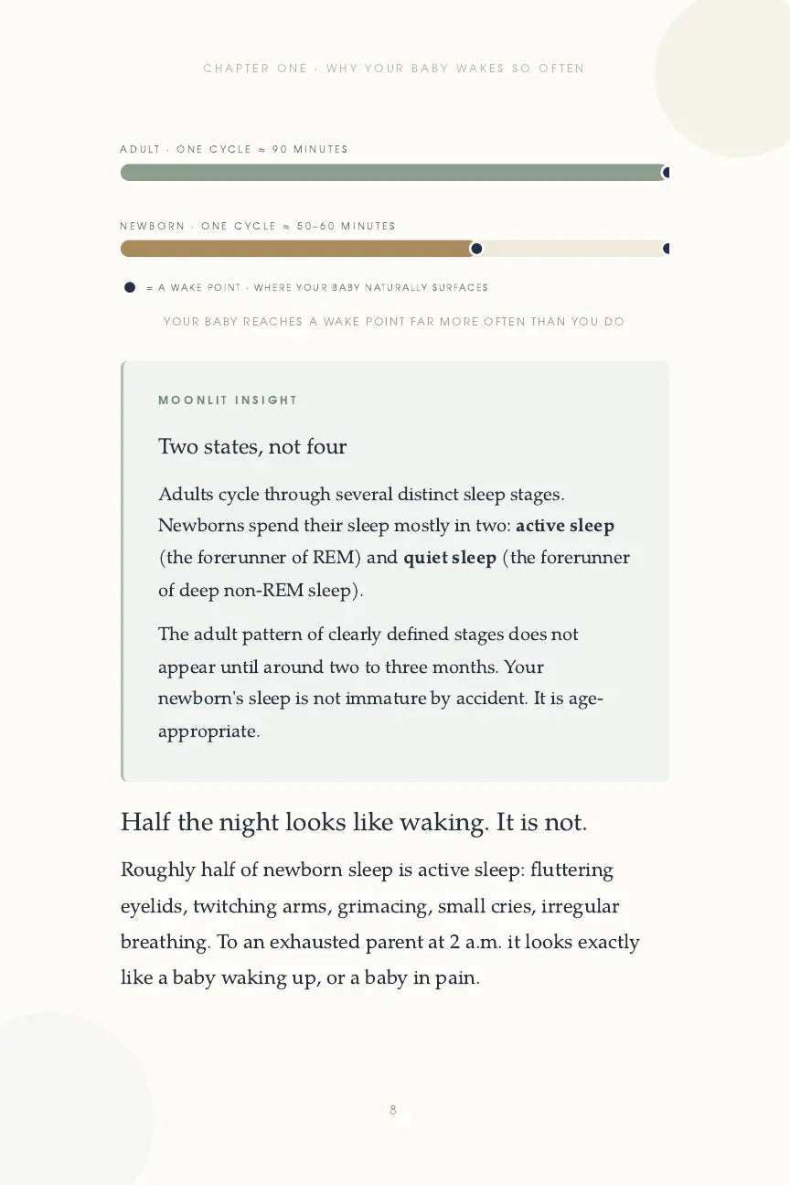 Guide page comparing adult and newborn sleep cycles